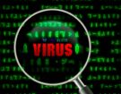 Una lupa sobre un fondo de código verde que enfoca la palabra "VIRUS" en rojo. Representación visual del concepto de virus informáticos y la necesidad de protección.