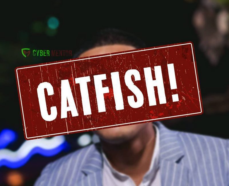 Qué es el Catfishing y Cómo Protegerte: Imagen con la palabra "CATFISH!" sobre una persona desenfocada.